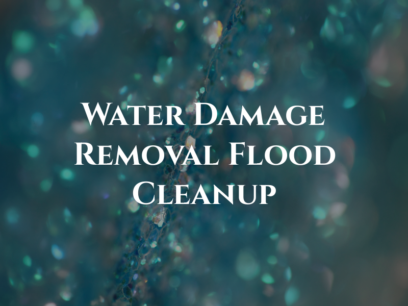 Water Damage Removal & Flood Cleanup
