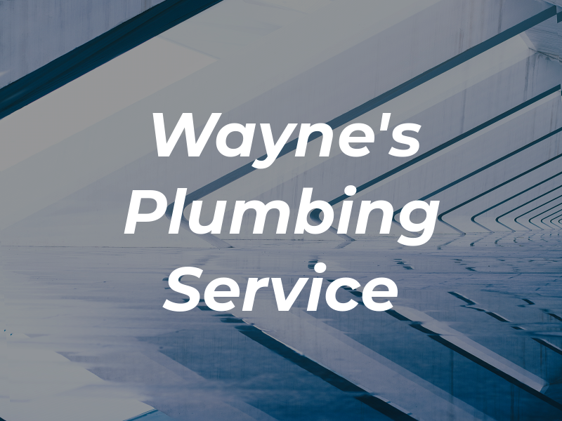 Wayne's Plumbing Service