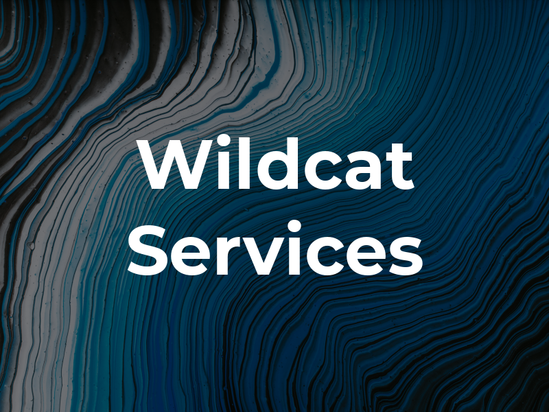 Wildcat Services