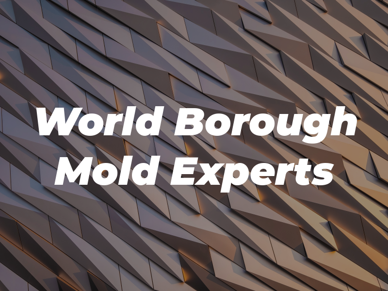 World Borough Mold Experts