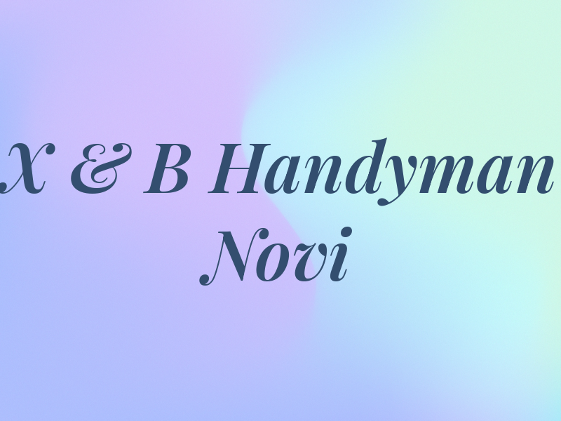 X & B Handyman Novi