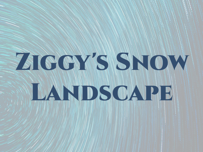 Ziggy's Snow and Landscape