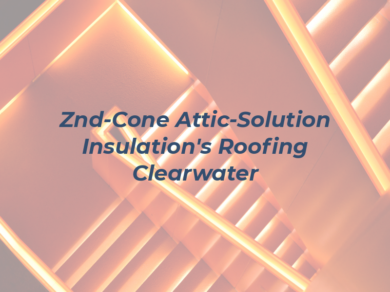 Znd-Cone Attic-Solution & Insulation's & Roofing Inc Clearwater