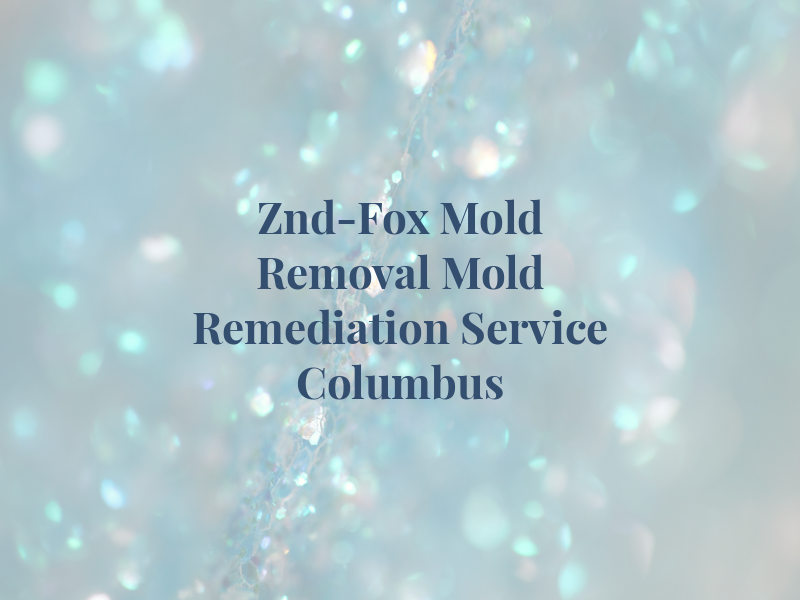 Znd-Fox Mold Removal & Mold Remediation Service Columbus