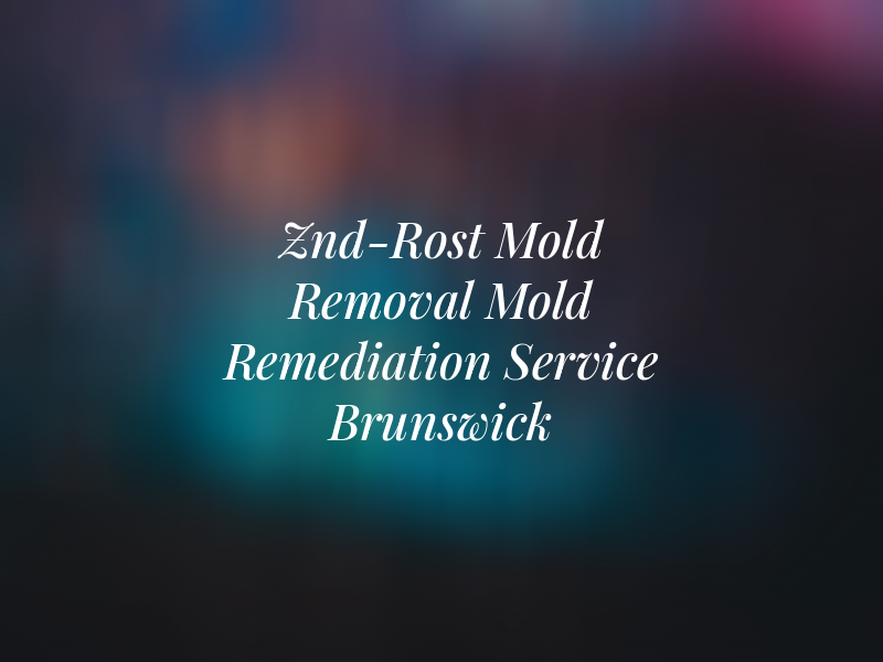 Znd-Rost Mold Removal & Mold Remediation Service Brunswick
