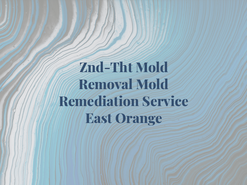 Znd-Tht Mold Removal & Mold Remediation Service East Orange