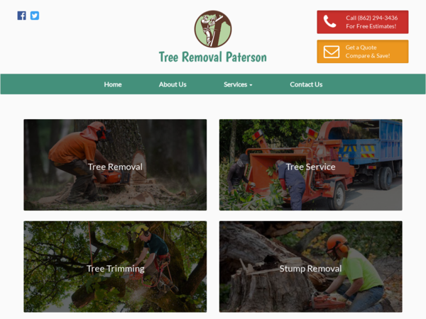 Tree Removal Paterson