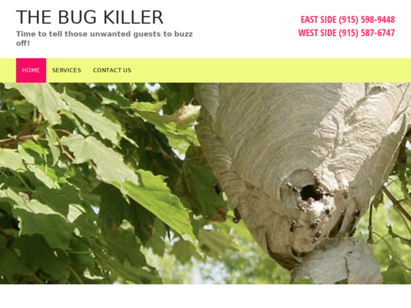 Bug Killer the