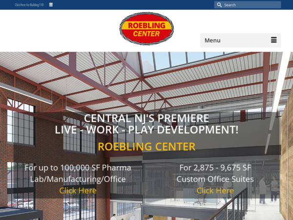 CAS Chimney Inspection & Chimney Repair Services
