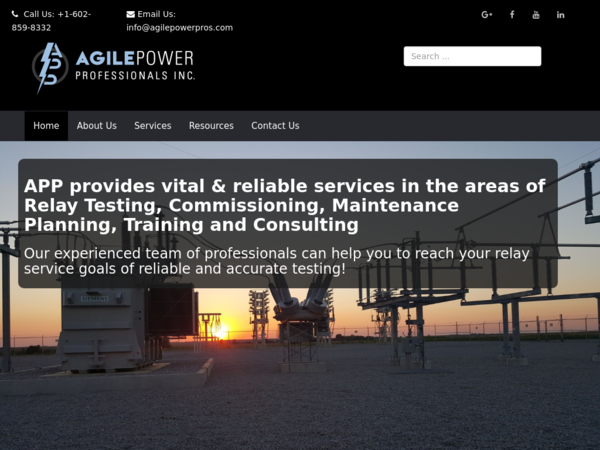 Agile Power Professionals