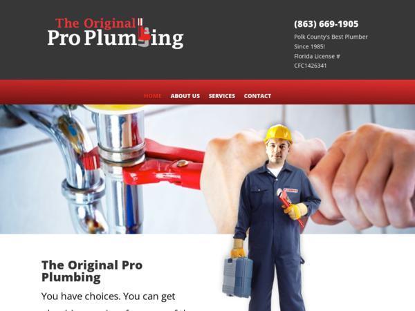 Pro Plumbing