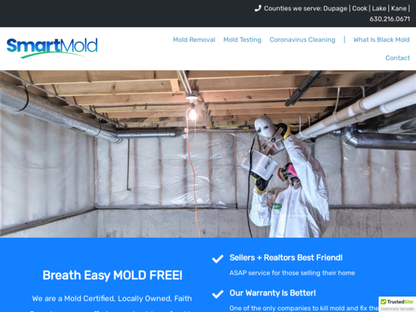 Smart: Mold & Mildew