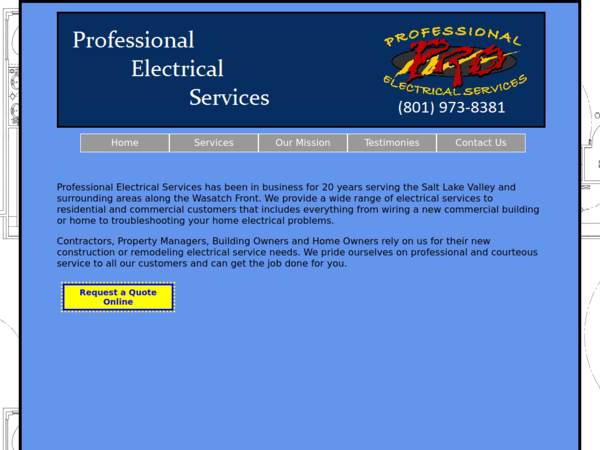 Professional Electrical Services