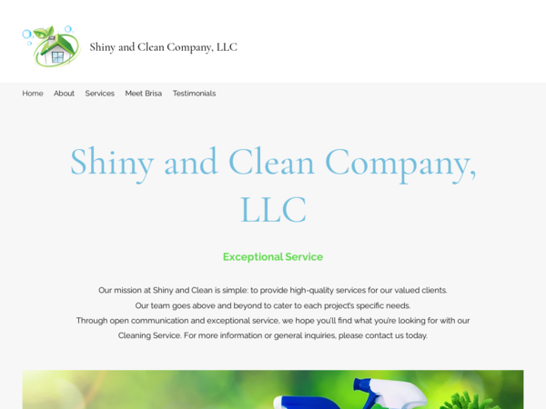 Shiny and Clean Company