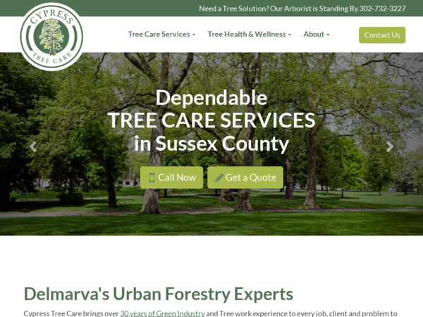 Cypress Tree Care