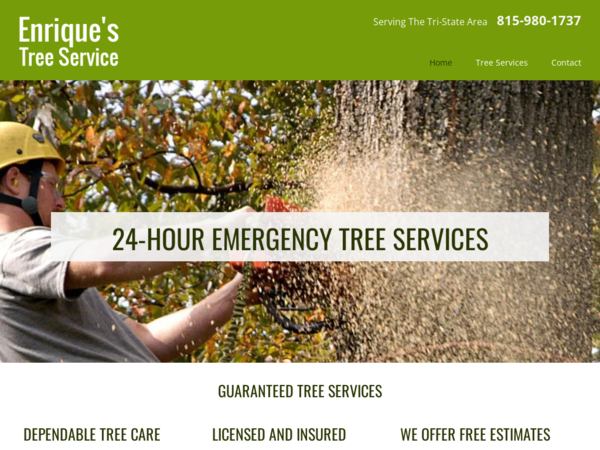 Enrique's Tree Service