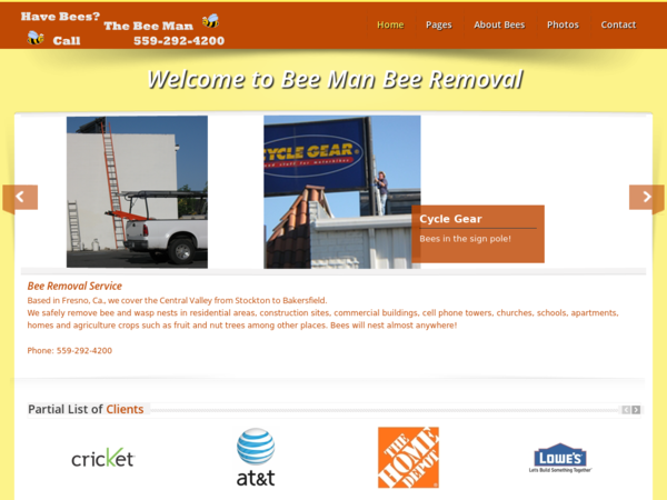 Bee Man Bee Removal