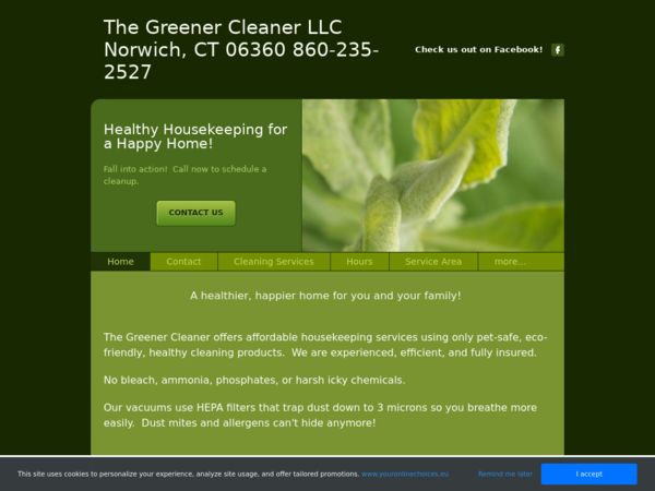 The Greener Cleaner LLC