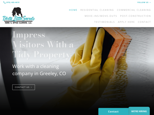 Dirty Little Secrets Home & Office Cleaning LLC