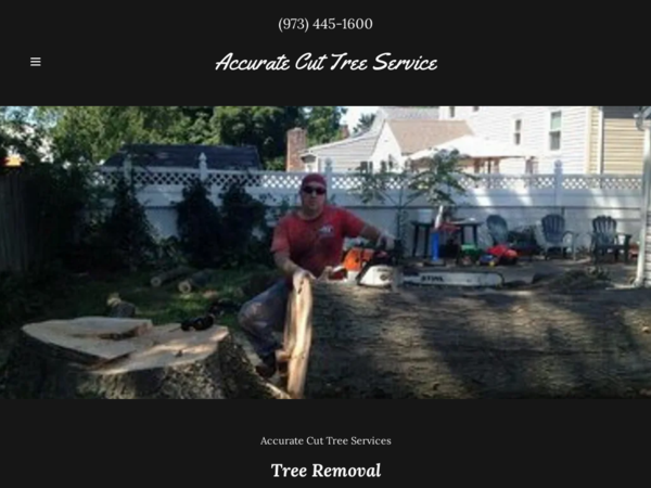 Accurate Cut Tree Service