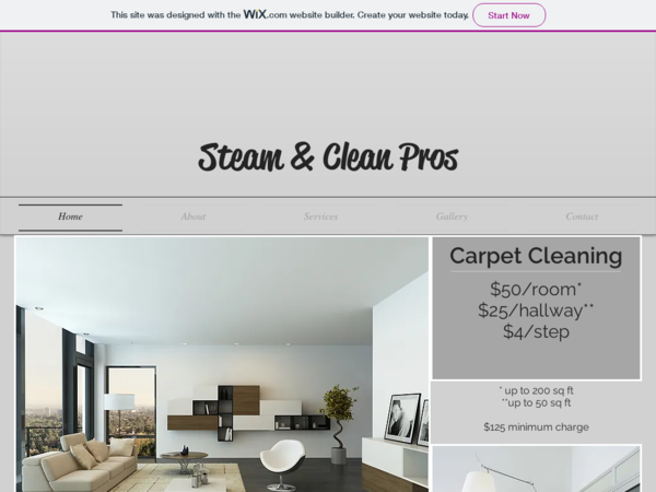 Steam & Clean Pros