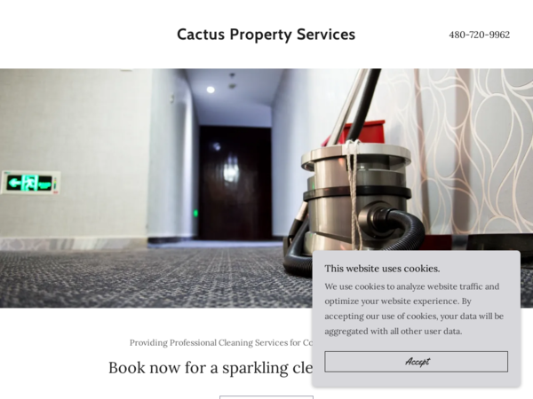Cactus Property Services