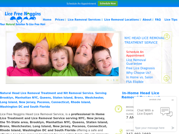 Lice Free Noggins Staten Island