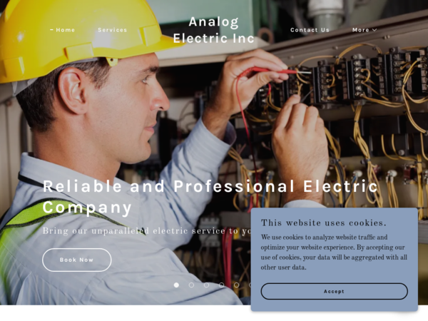 Analog Electric Inc