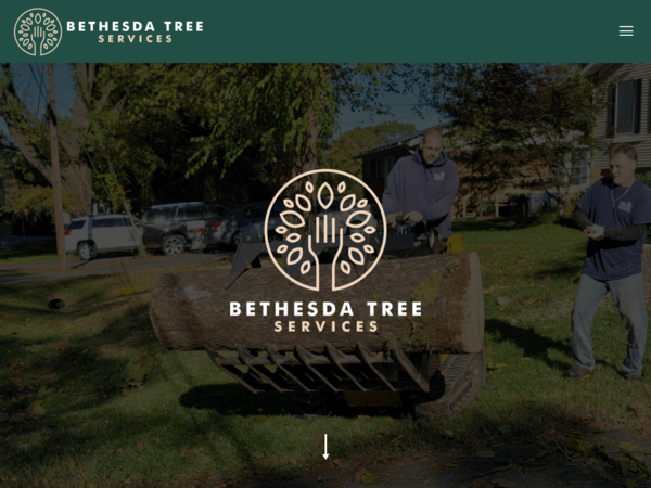 Bethesda Tree Services
