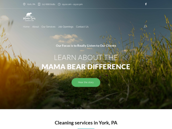Mama Bear Cleaning & Care