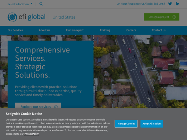 EFI Global