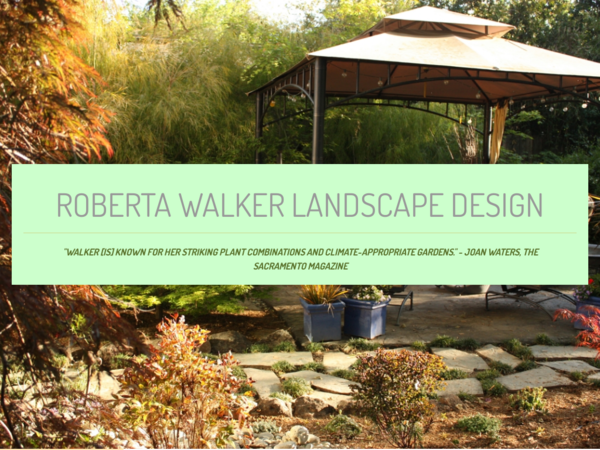 Roberta Walker Landscape