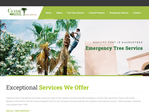 Clyde and Son's Tree Service