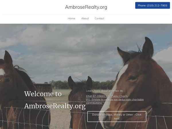 Ambrose Realty