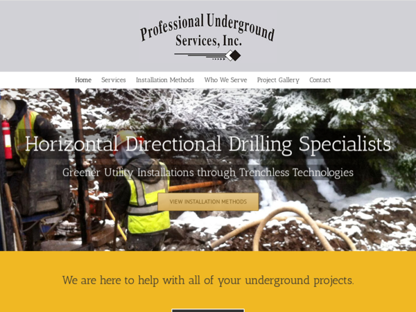 Professional Underground Services Inc.