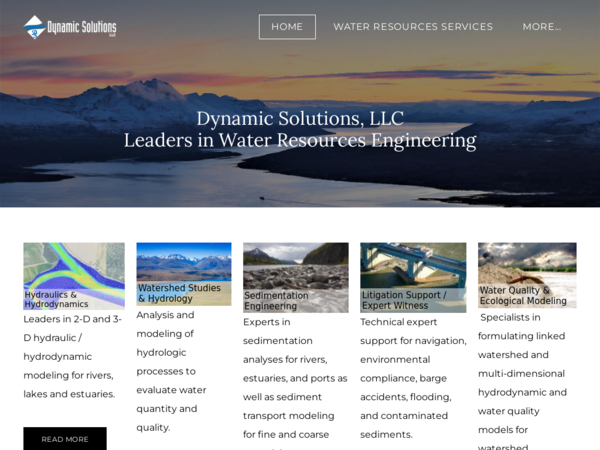 Dynamic Solutions