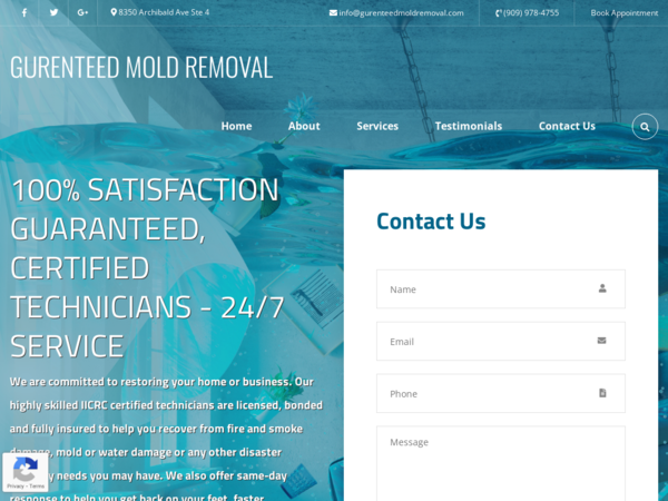 Gurenteed Mold Removal
