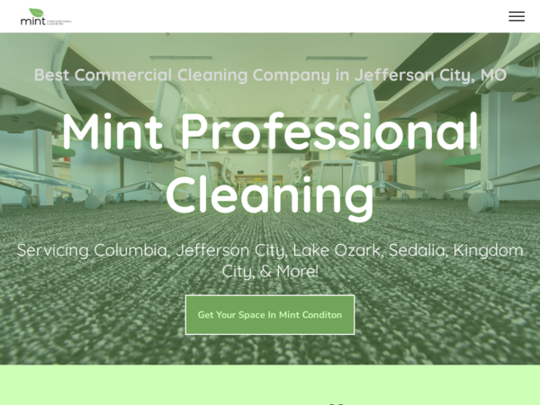 Mint Professional Cleaning