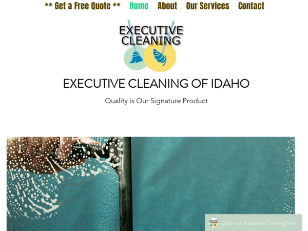 Executive Cleaning