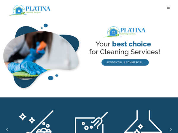Platina Cleaning Services LLC
