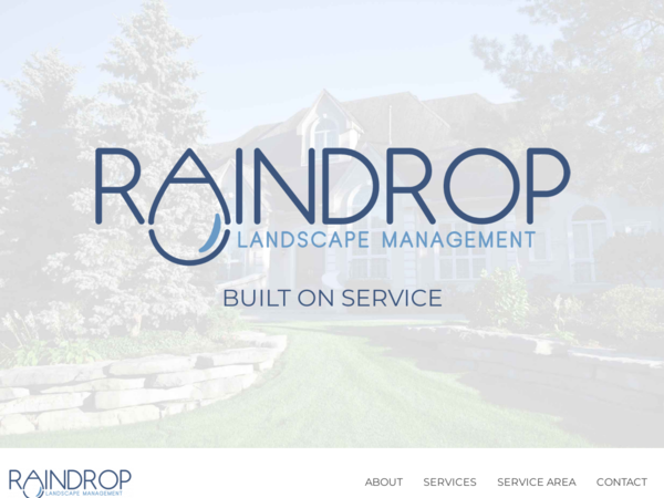 Raindrop