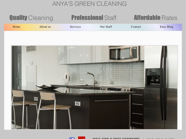 Anya's Green Cleaning