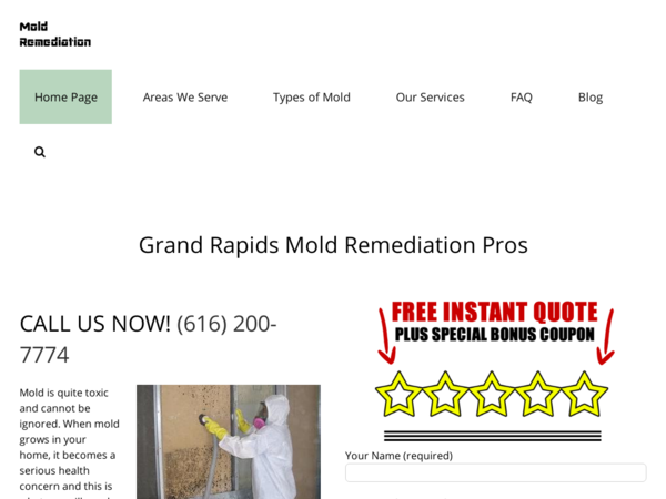 Grand Rapids Mold Remediation Pros