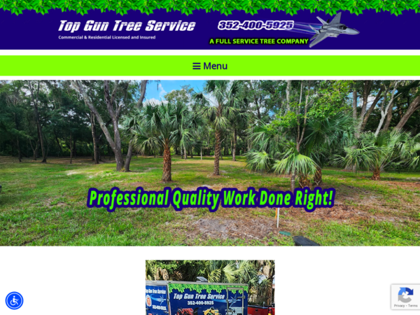 Top Gun Tree Service