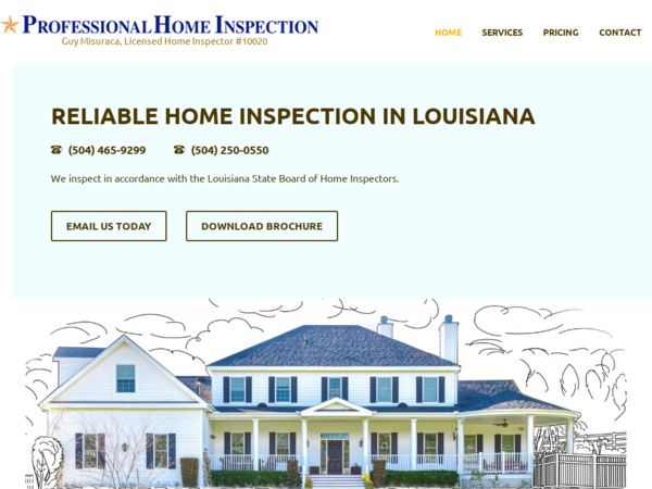Professional Home Inspection
