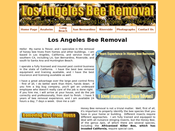 Los Angeles Bee Removal