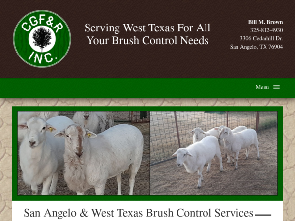 San Angelo & West Texas Brush Control Services