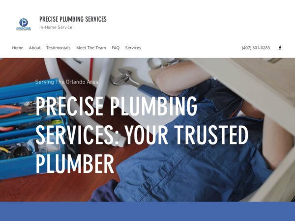 Precise Plumbing Services LLC