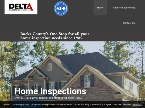 Delta Inspection Services