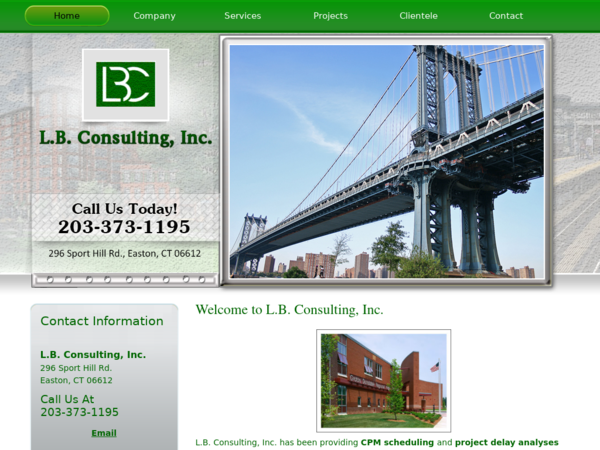 L B Consulting Inc